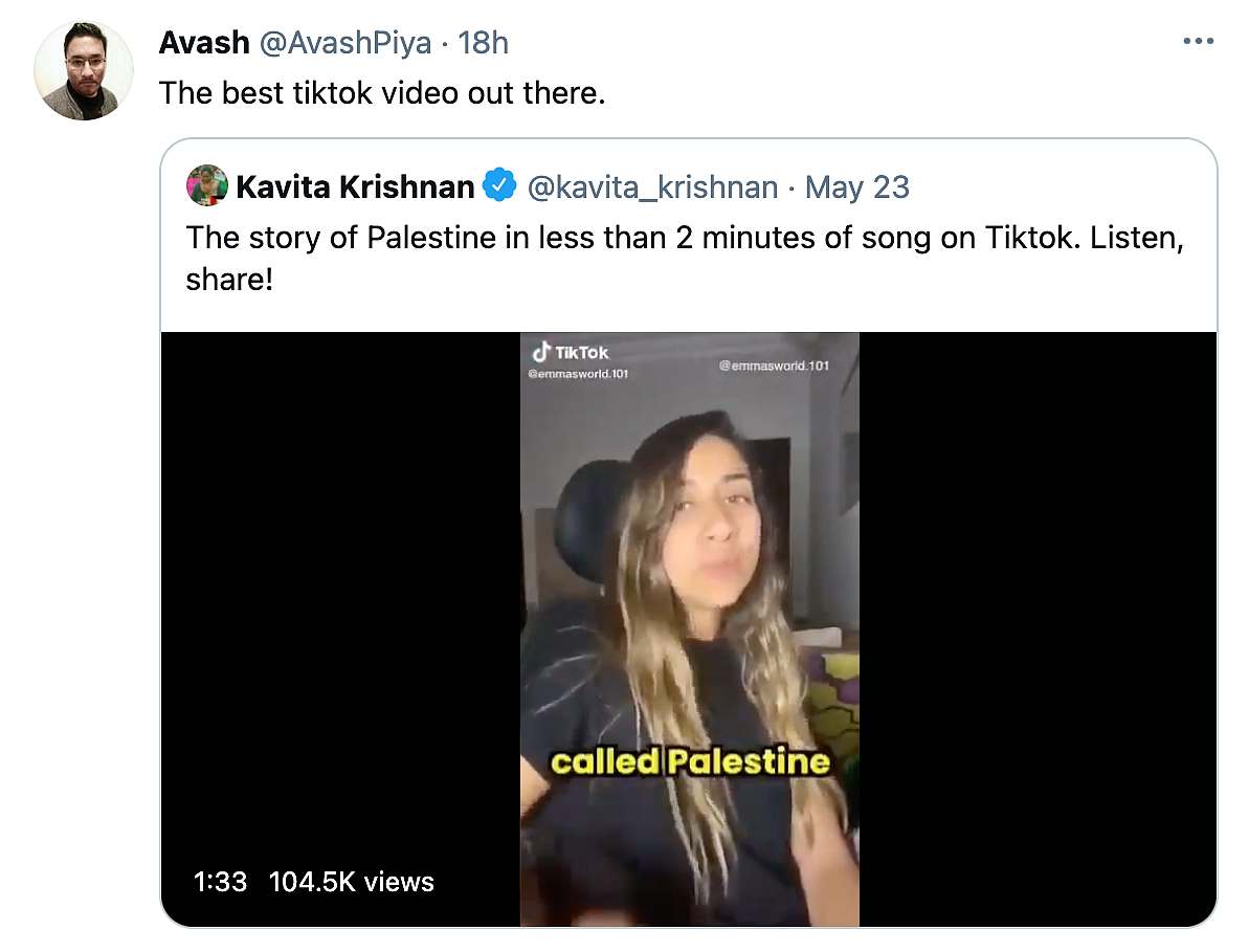 Watch: User Narrates 'Story of Palestine' in Viral TikTok Song