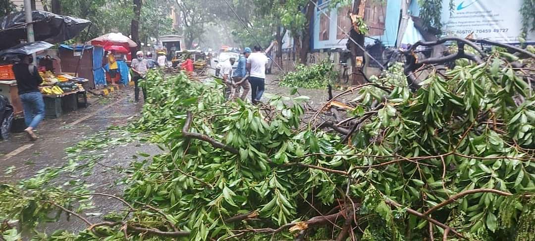 Cyclone Tauktae lashed the Maharashtra coast on Sunday, uprooting trees, and light-poles and causing other damage.