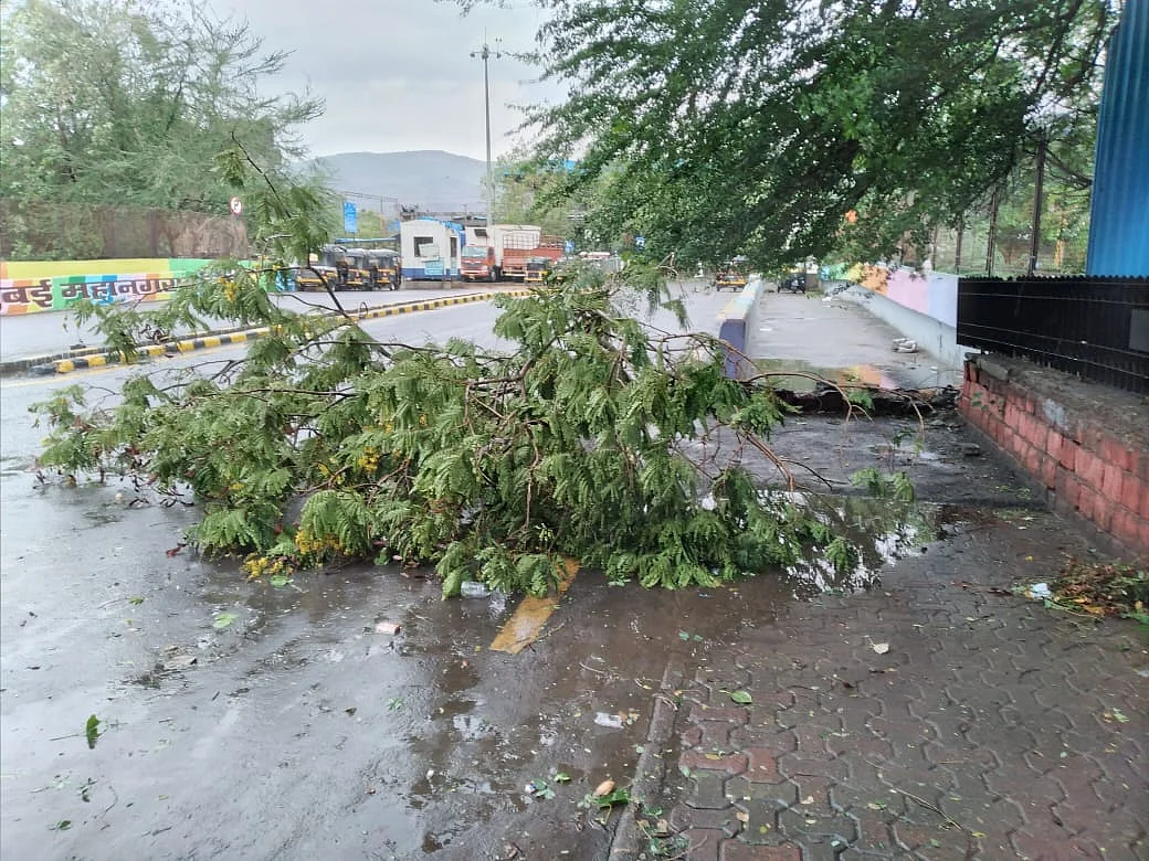 Strong cyclonic winds damage a tree in Juinagar.