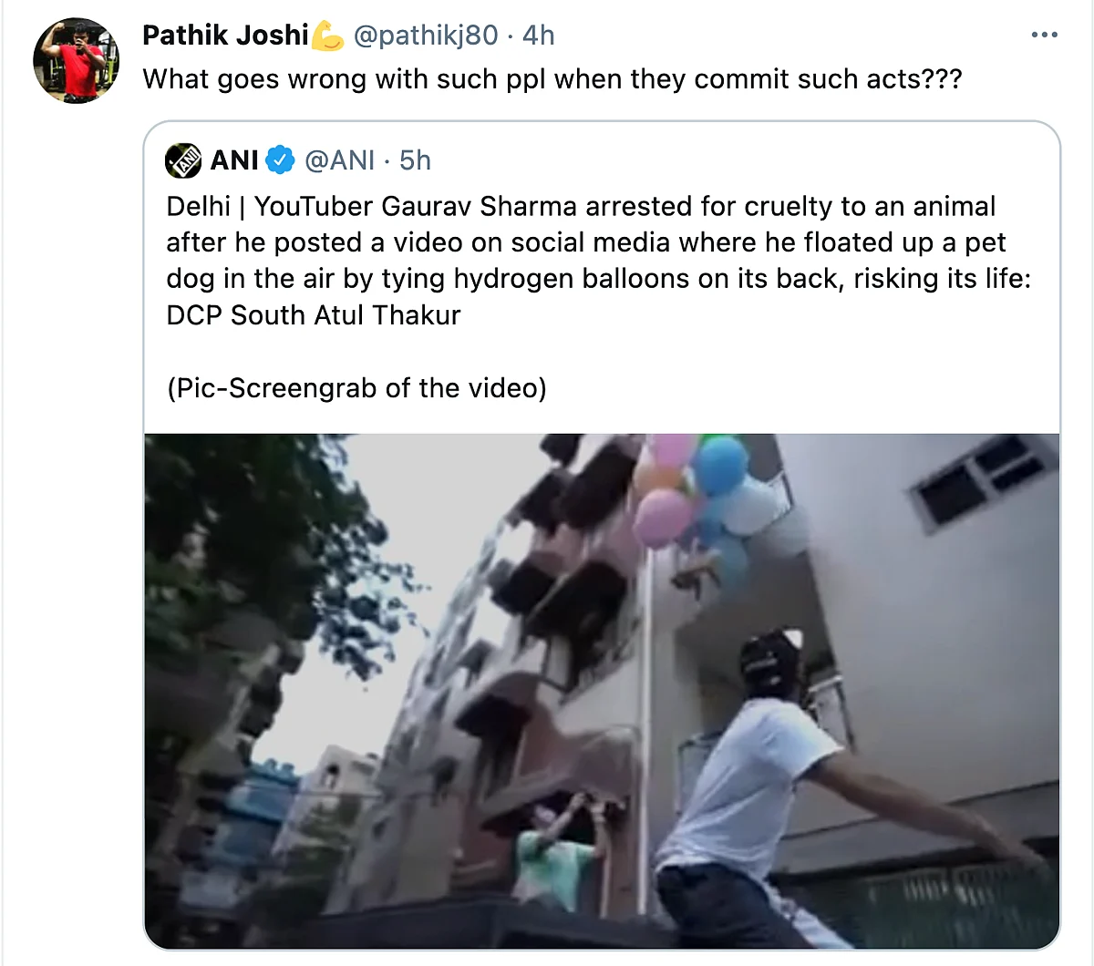 Twitter Furious as YouTuber Ties Dog to a Balloon to Make It Float