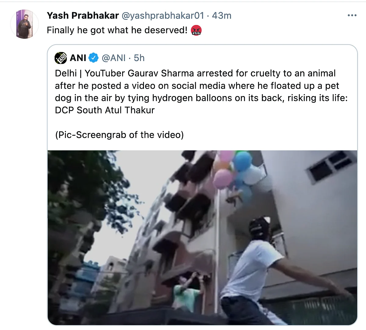 Twitter Furious as YouTuber Ties Dog to a Balloon to Make It Float