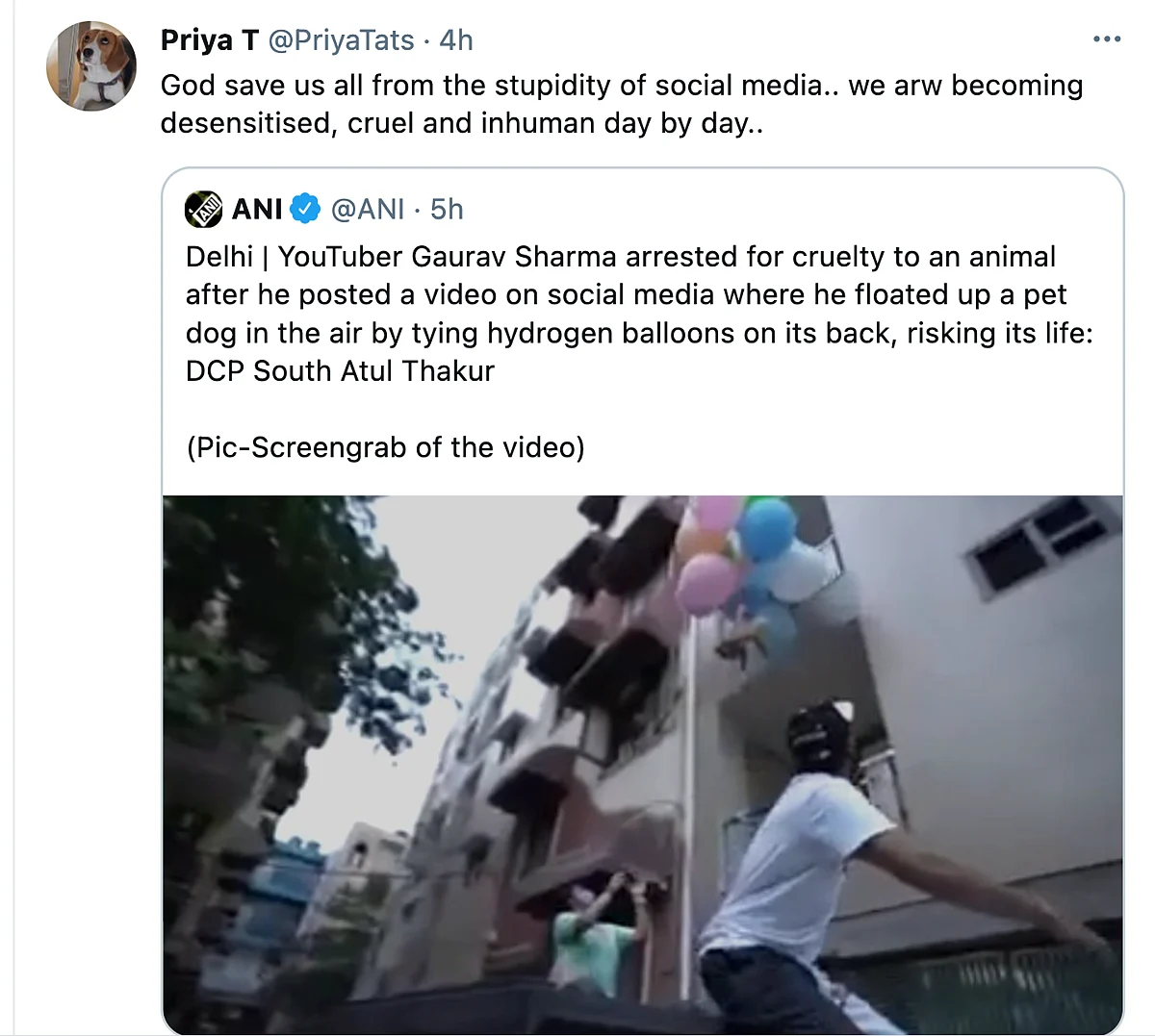 Twitter Furious as YouTuber Ties Dog to a Balloon to Make It Float