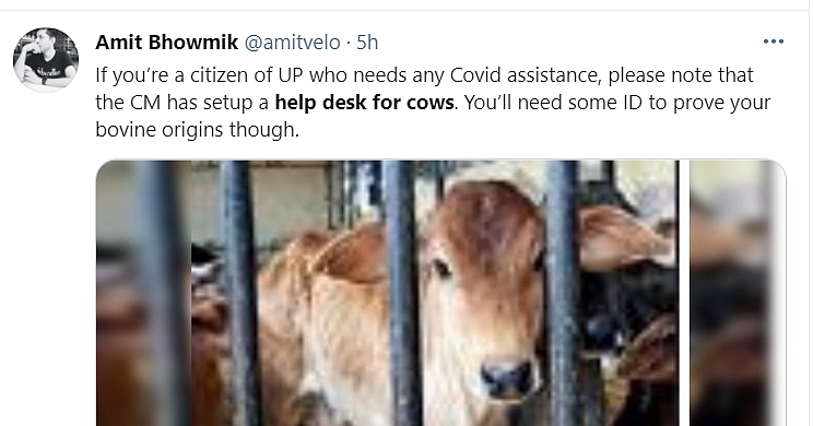 UP Govt Launches Help Desks for Cows Amid COVID, Twitter Reacts