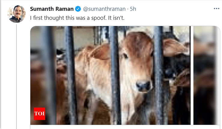 UP Govt Launches Help Desks for Cows Amid COVID, Twitter Reacts