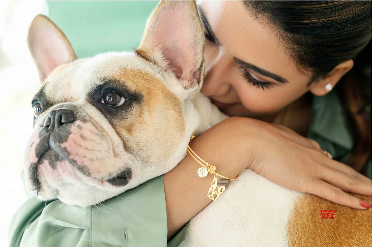 All You Need to Know About ‘The Family Man’ Star Samantha Akkineni