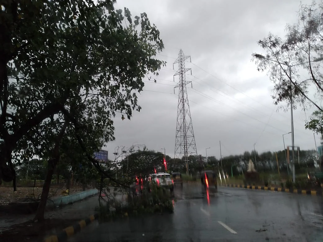Another tree falls because of the Cyclone Tauktae in Navi Mumbai’s Sanpada locality.