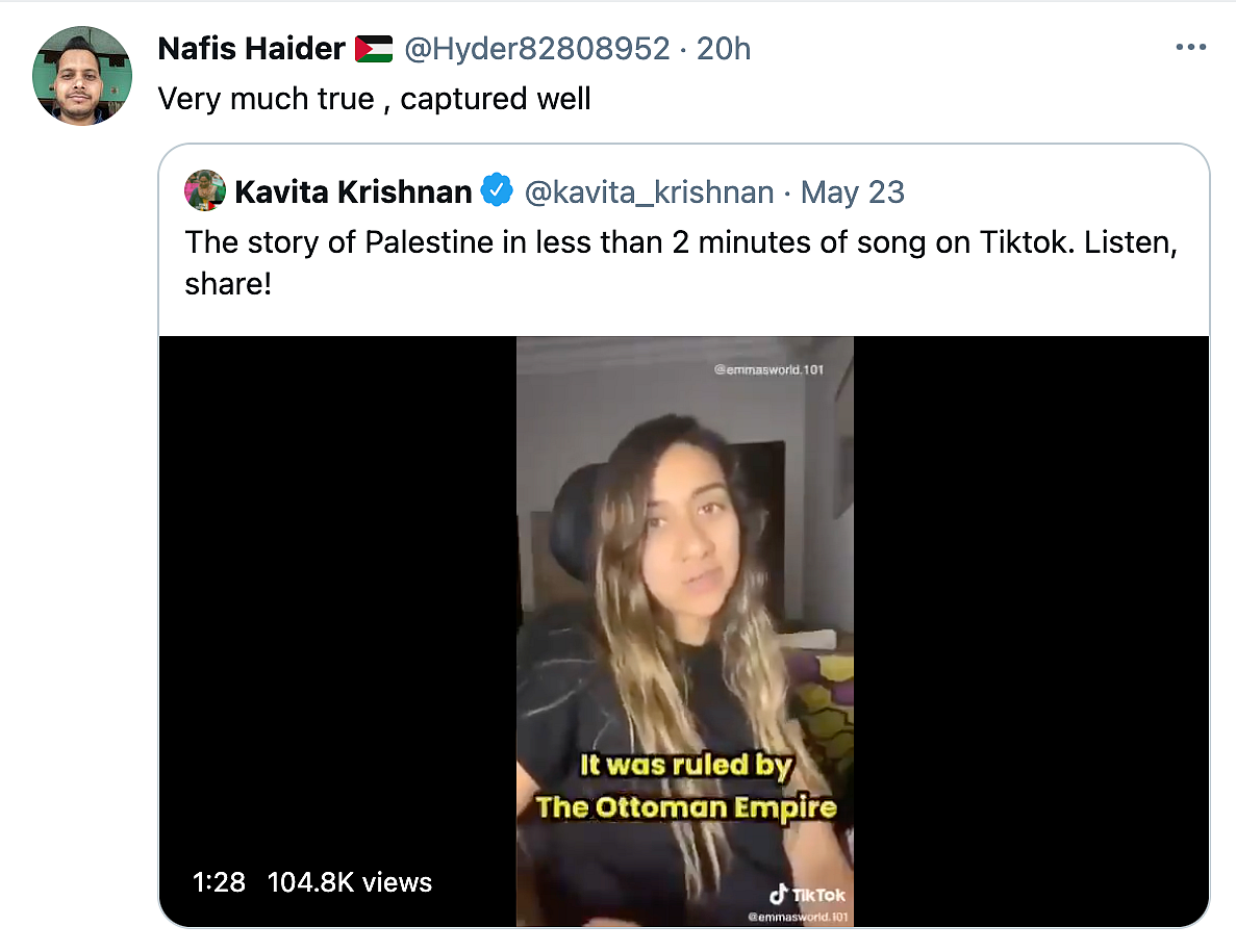 Watch: User Narrates 'Story of Palestine' in Viral TikTok Song