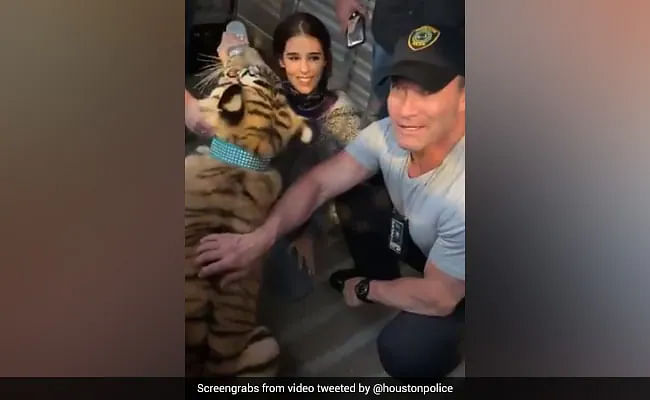 “We are happy to report that the missing tiger seen in a Houston neighborhood last week has been found and appears to be unharmed,” Houston Police tweeted.