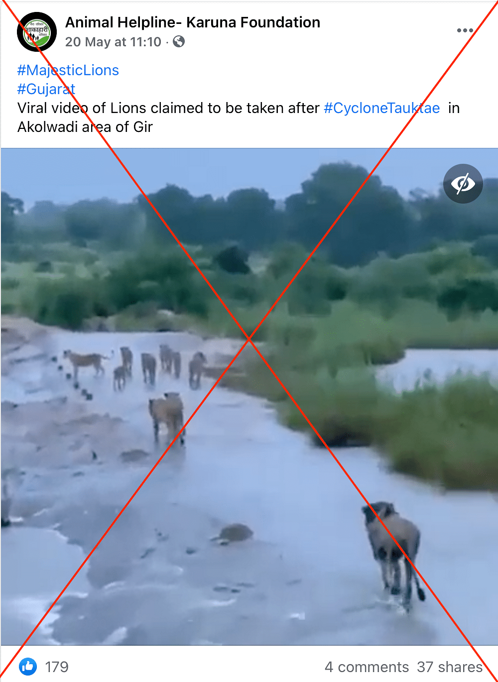  The video actually shows lions walking across South Africa’s MalaMala Game Reserve after a foiled hunt.