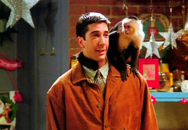 A Fan’s Account: 10 Best Things About the FRIENDS Reunion
