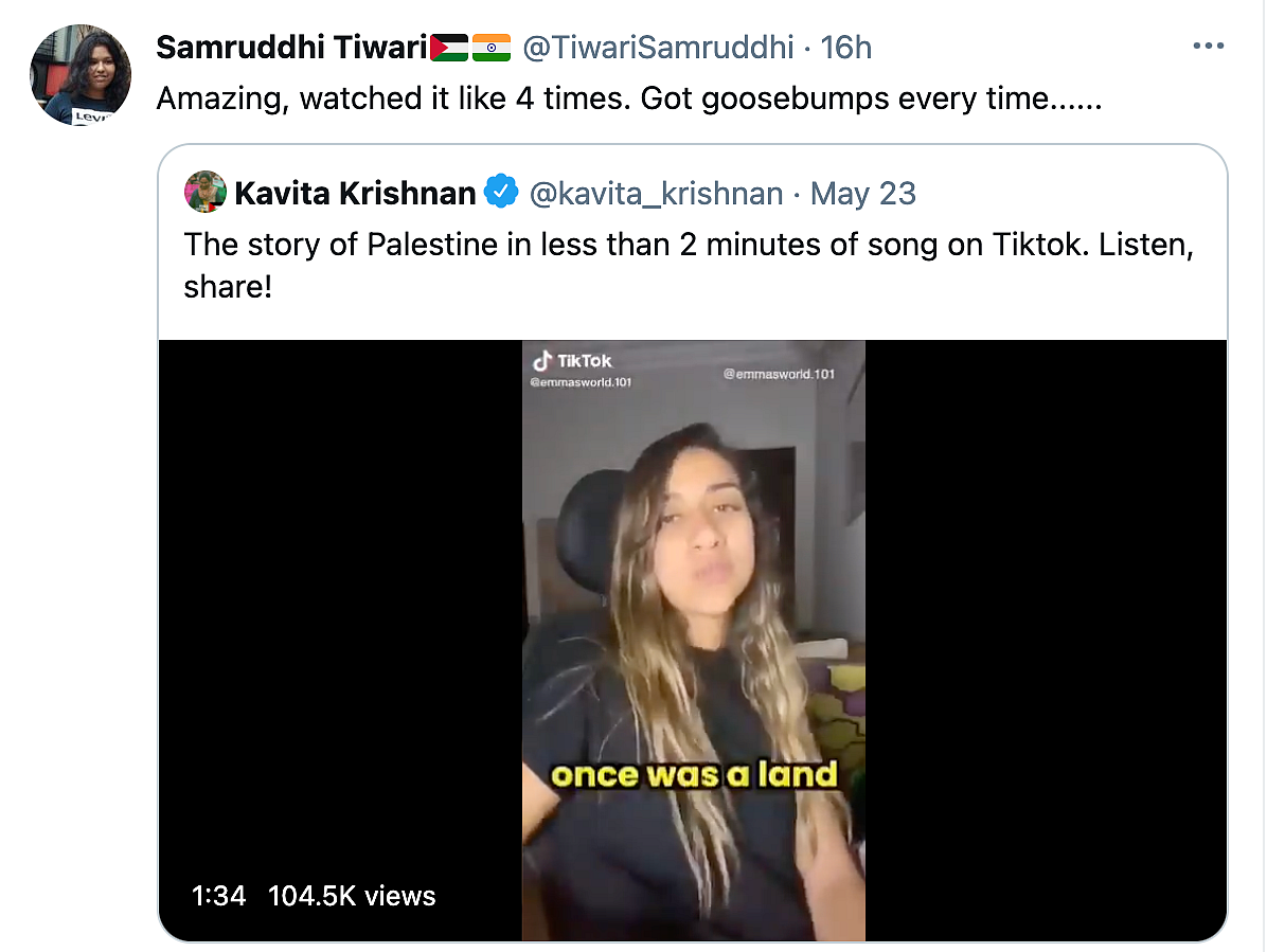 Watch: User Narrates 'Story of Palestine' in Viral TikTok Song