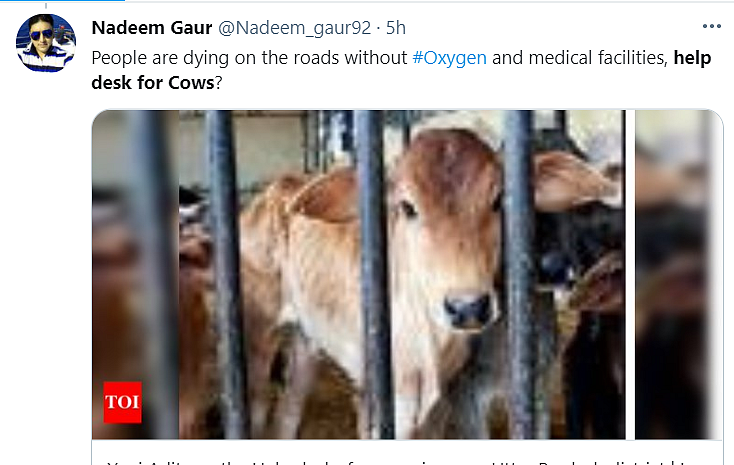 UP Govt Launches Help Desks for Cows Amid COVID, Twitter Reacts
