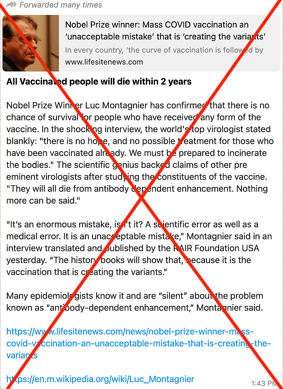 WebQoof Recap: French Virologist’s Claims on Vaccines & More