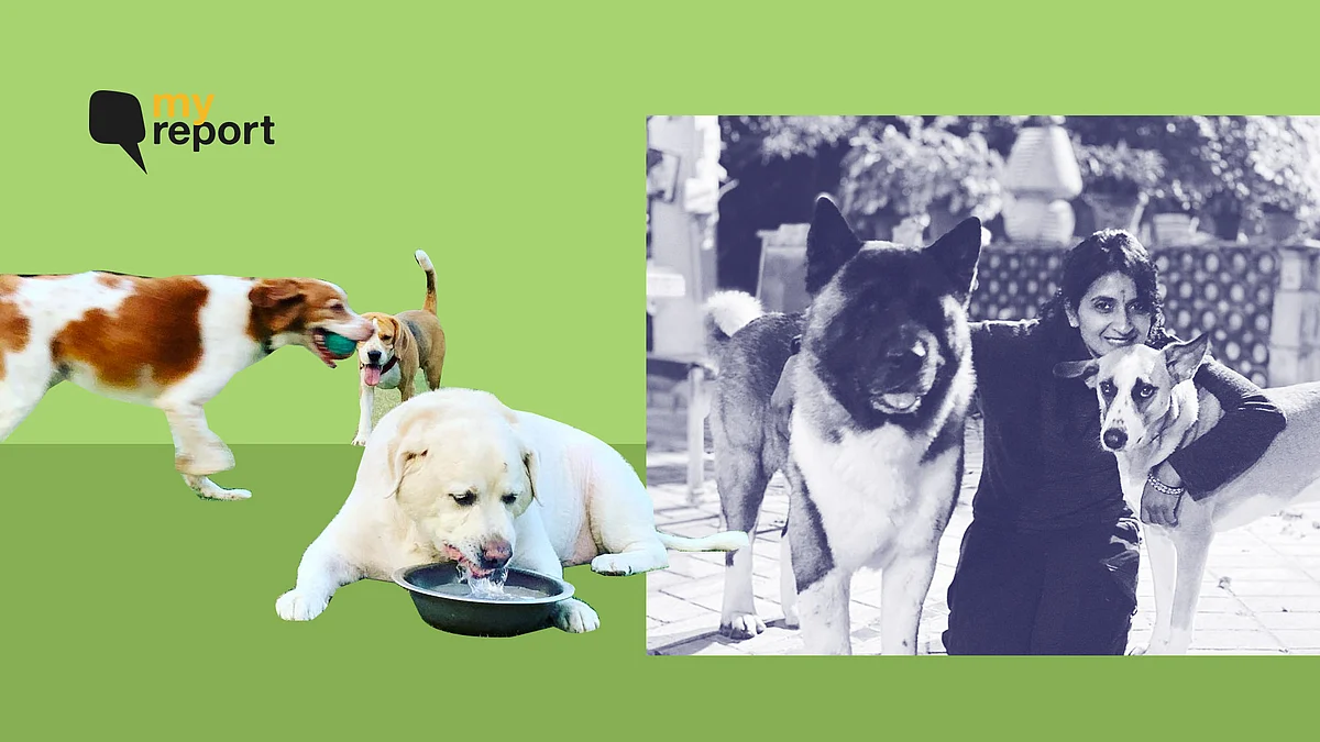 Delhi Couple takes care of pets of families affected by COVID.