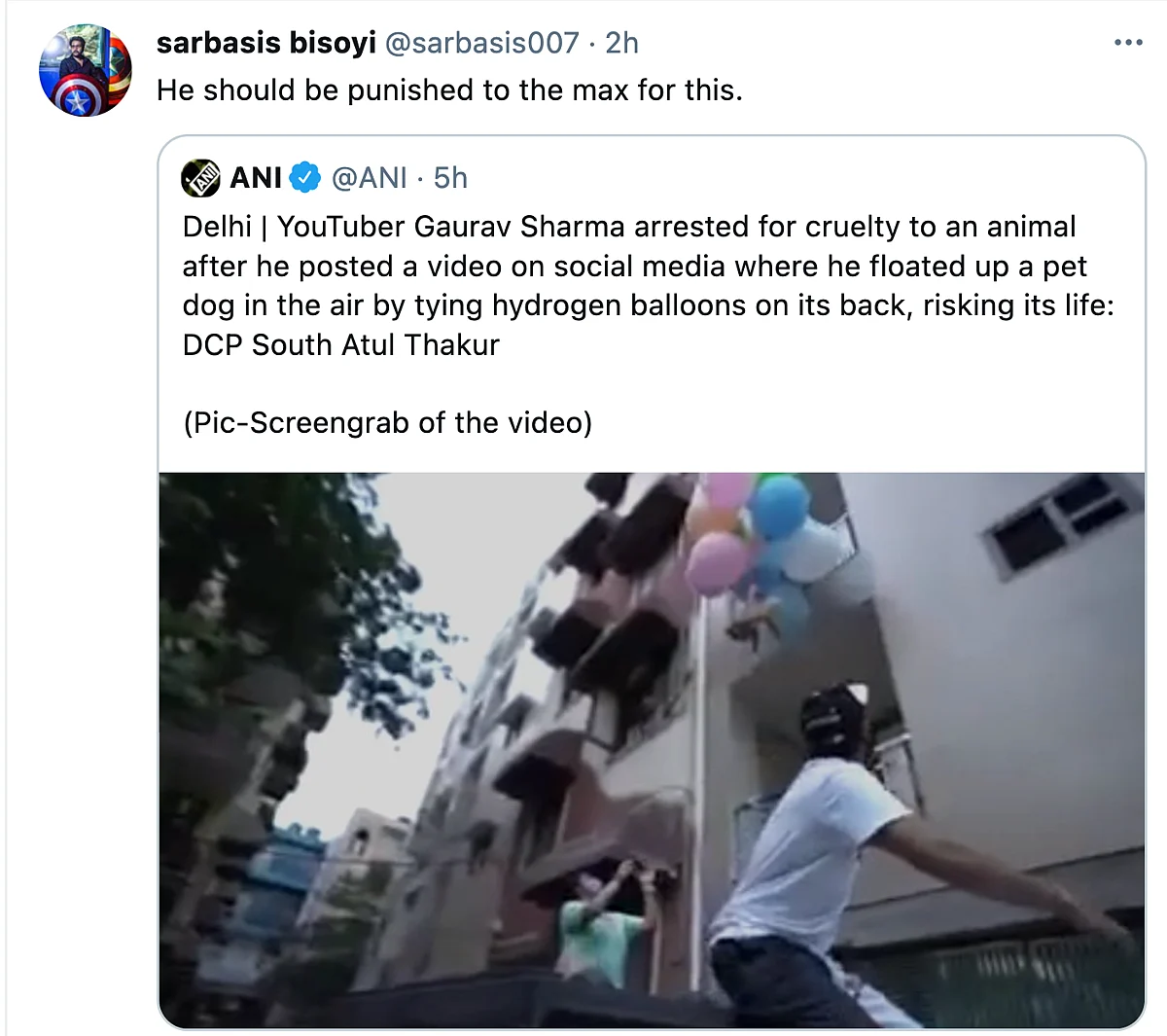 Twitter Furious as YouTuber Ties Dog to a Balloon to Make It Float