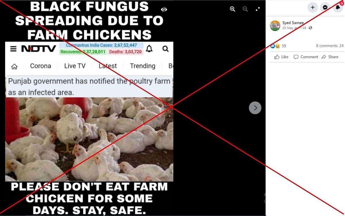 The viral image incorrectly states that mucormycosis, or black fungus, is spreading due to farm chickens.