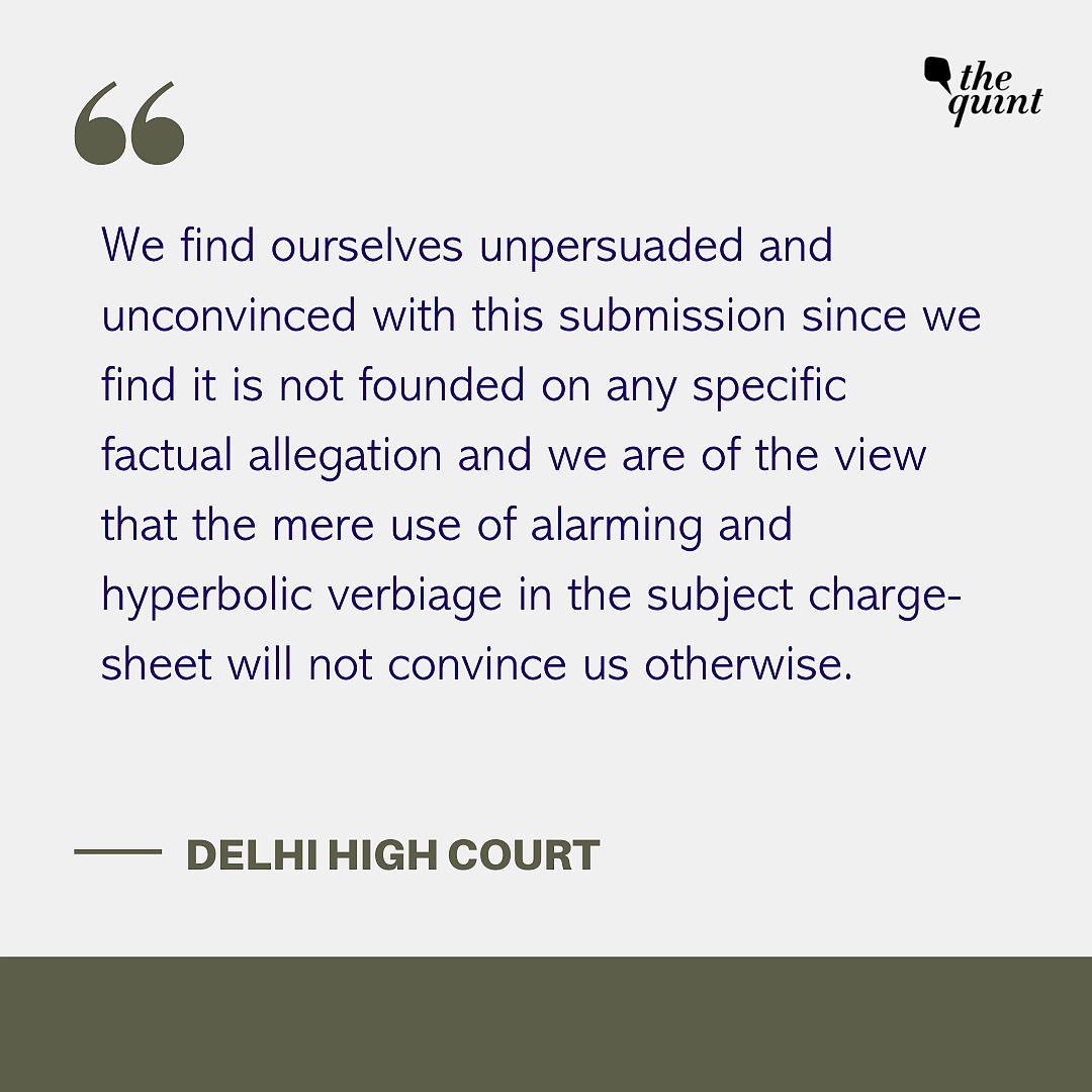 Delhi HC Stands Up For India, Not Just Devangana, Natasha & Asif