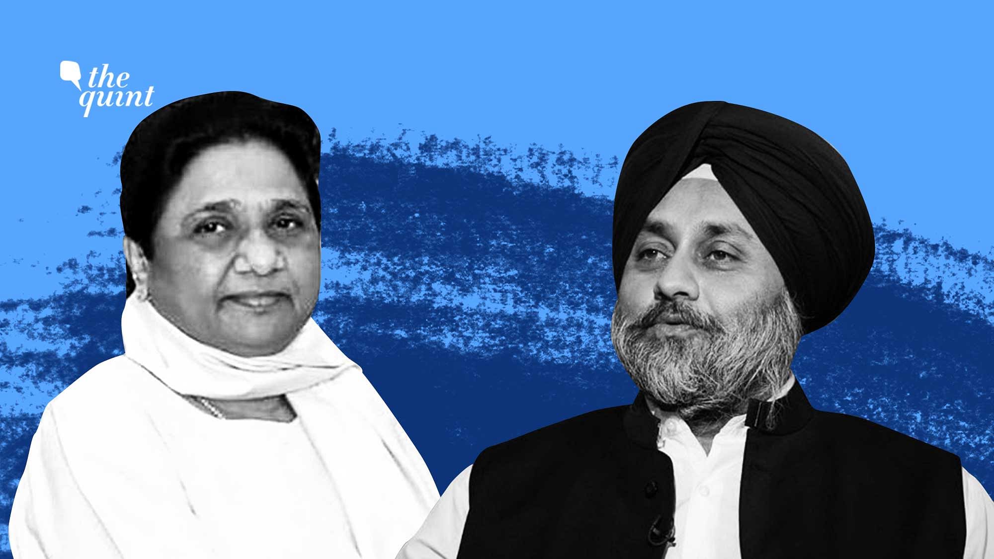 Mayawati’s BSP and the Shiromani Akali Dal are likely to announce an alliance for the Punjab elections.