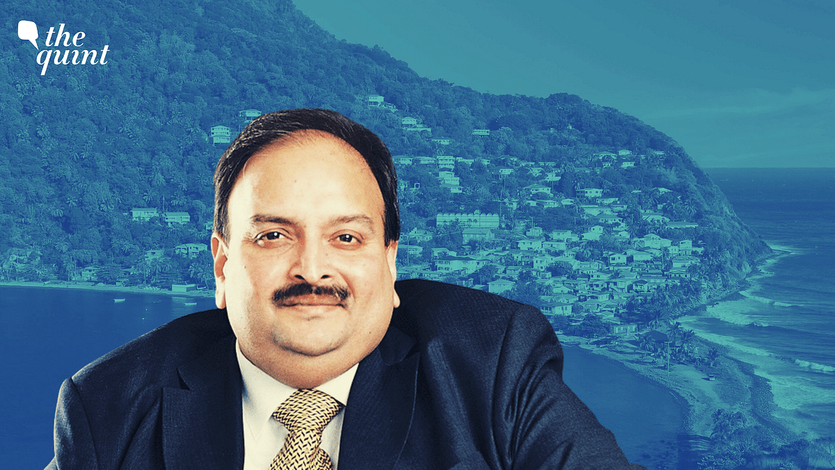 Actively Engaged With Dominica For Choksi’s Early Deportation: MEA
