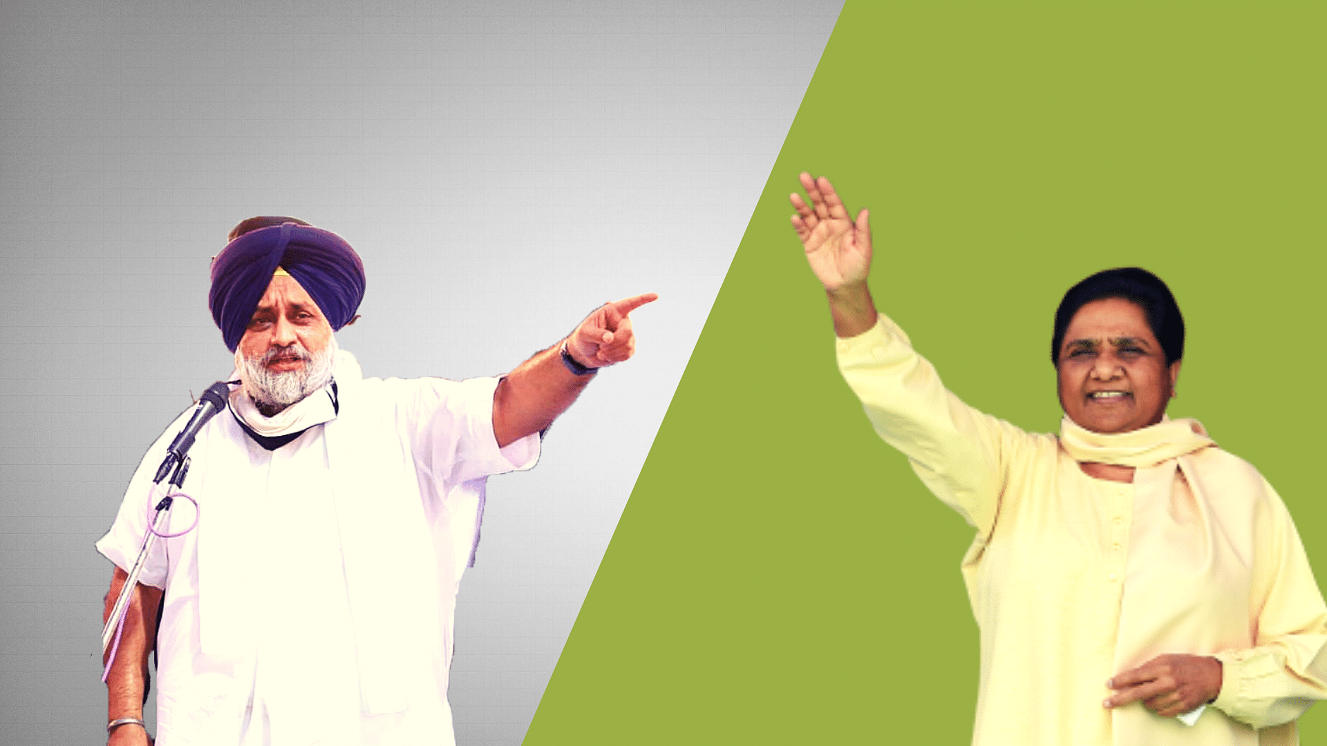 <div class="paragraphs"><p>The Shiromani Akali Dal (SAD) and the Bahujan Samaj Party (BSP) formed an alliance to contest the 2022 Punjab Assembly elections together.</p></div>