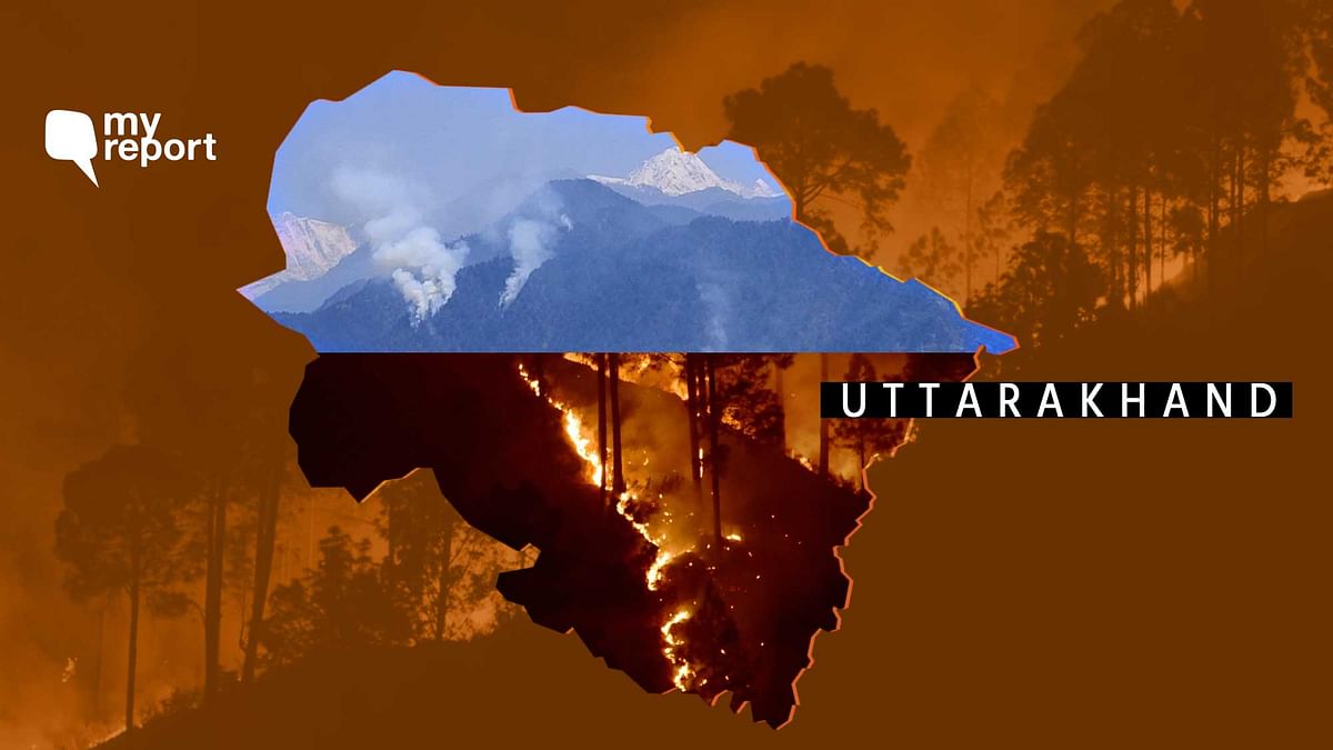 Floods, Forest Fires: SOS From Uttarakhand on Environment Day 2021