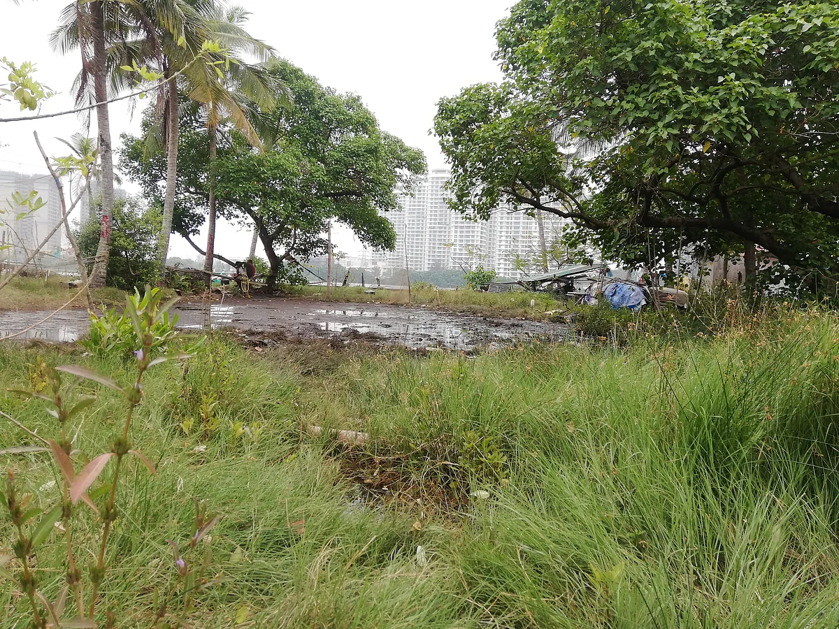 <div class="paragraphs"><p>A cluster of multi storey buildings have come up across the lake</p></div>