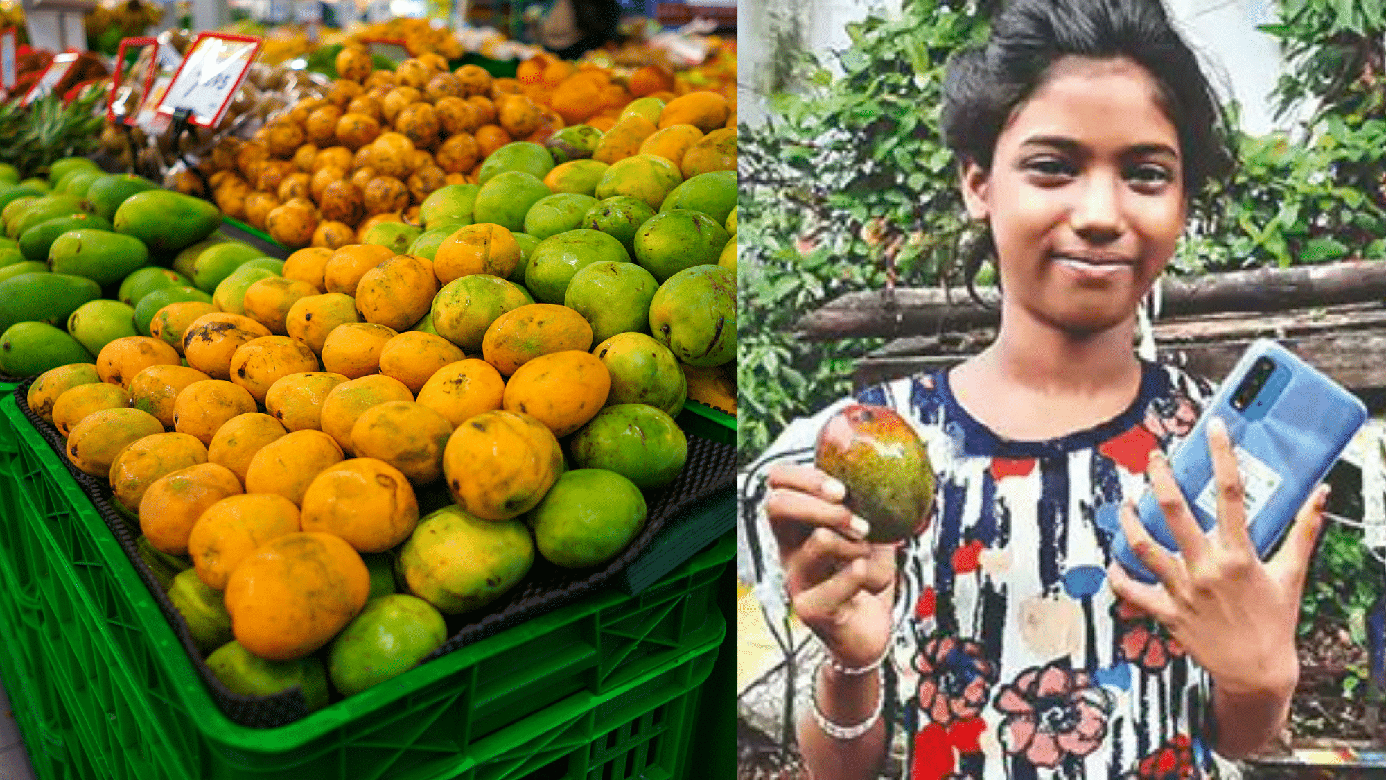 <div class="paragraphs"><p>(Left: Representational Image, Right: Tulsi Kumari with a brand new smartphone)</p></div>