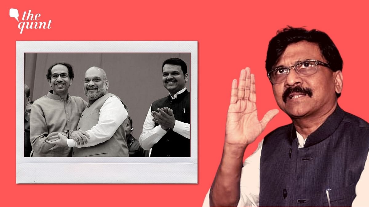'Ties Like Aamir-Kiran': Raut as Fadnavis Says Sena-BJP 'Not Enemies'