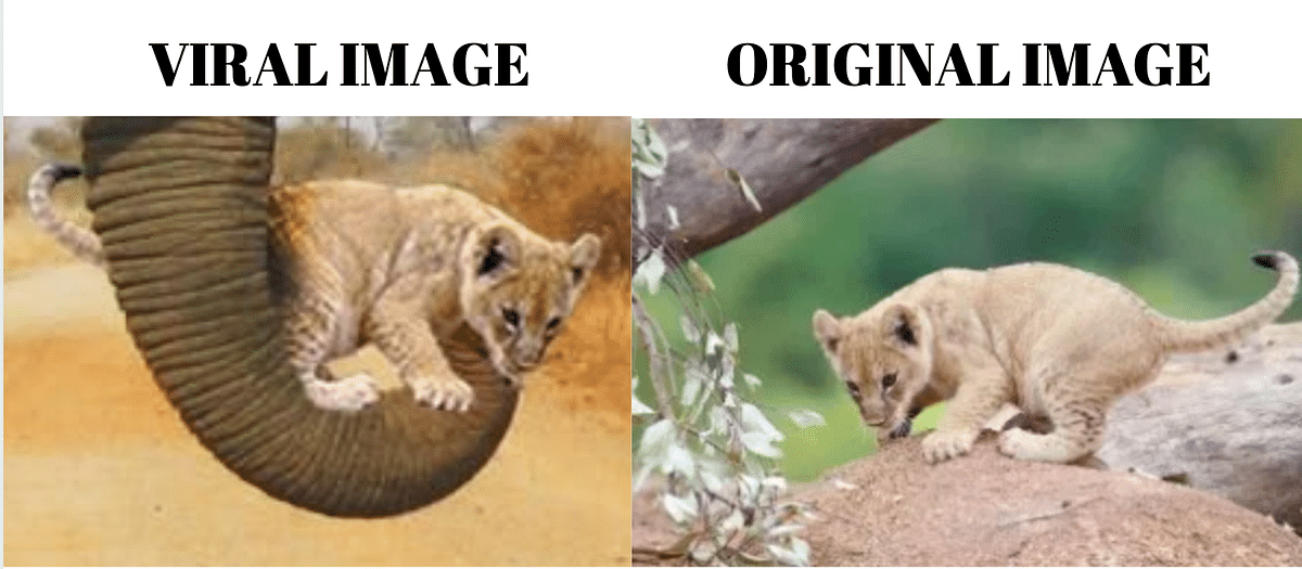 The morphed image was tweeted in 2018 on the occasion of April Fool's Day and has been viral ever since.