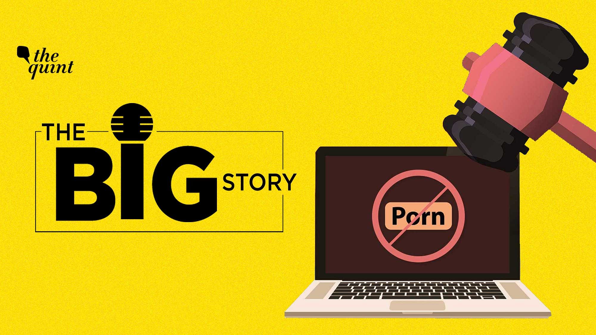<div class="paragraphs"><p>The Big Story Podcast on Raj Kundra Porn Films Case and the Laws Pertaining to Adult Film Industry in India.&nbsp;</p></div>