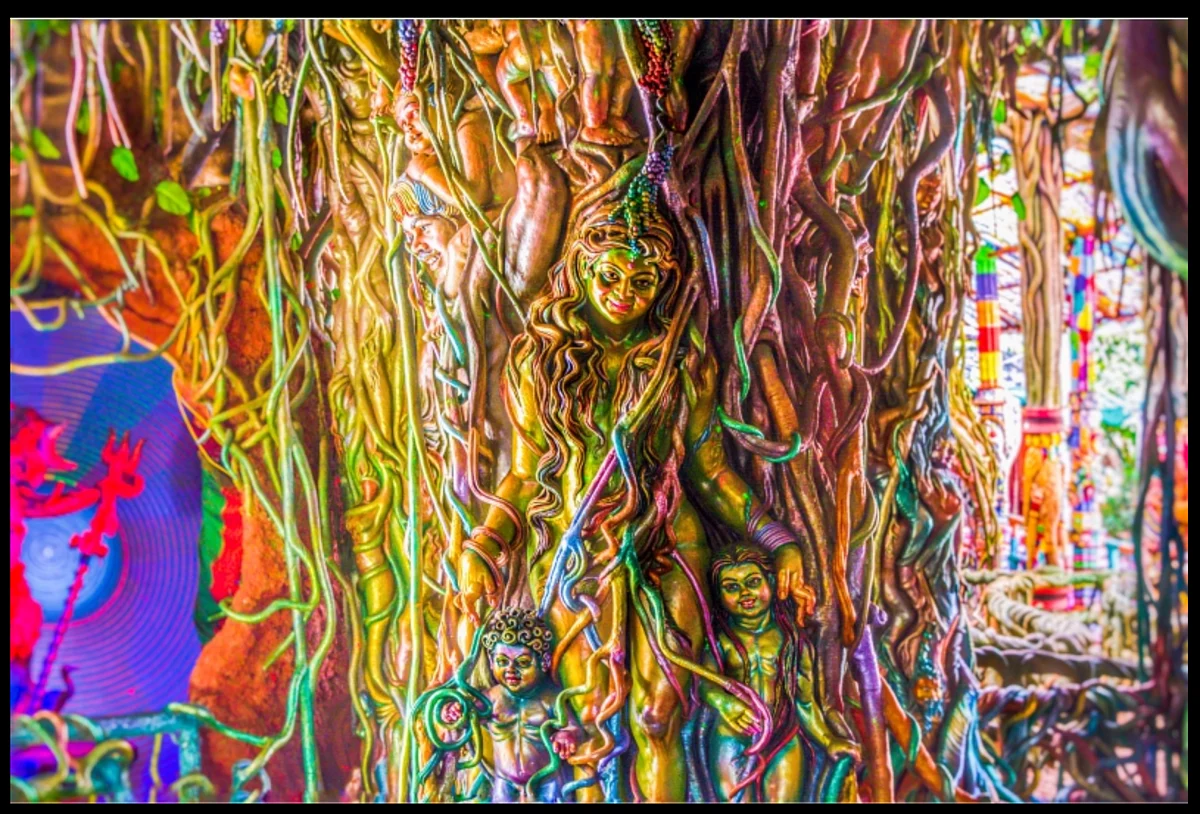 <div class="paragraphs"><p>Photo was accessed from the album 'Artistic Banyan tree'.</p></div>