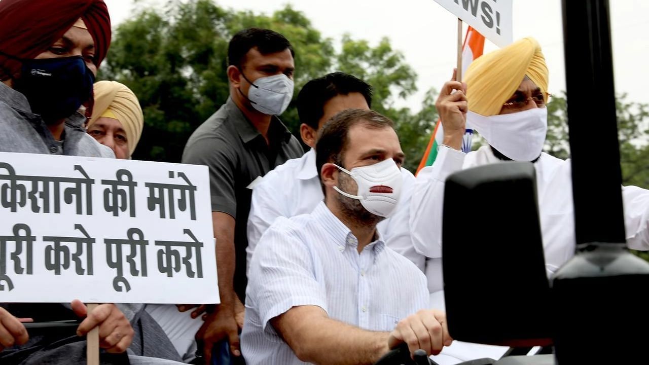 <div class="paragraphs"><p>Rahul Gandhi drove a tractor to the Parliament, in protest against the Centre's contentious new farm laws.</p></div>