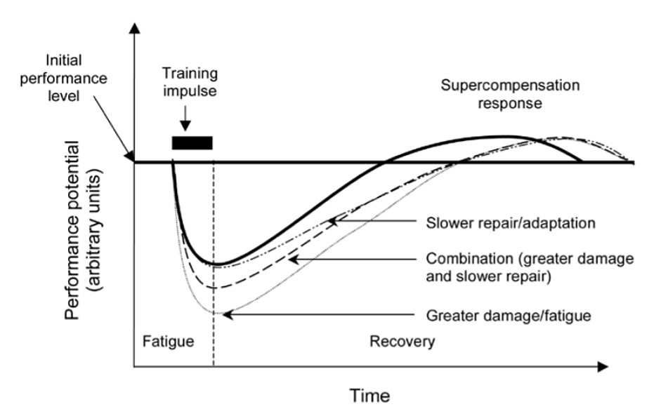 <div class="paragraphs"><p>A model depicting the effect of training impulse, fatigue, recovery and response </p></div>