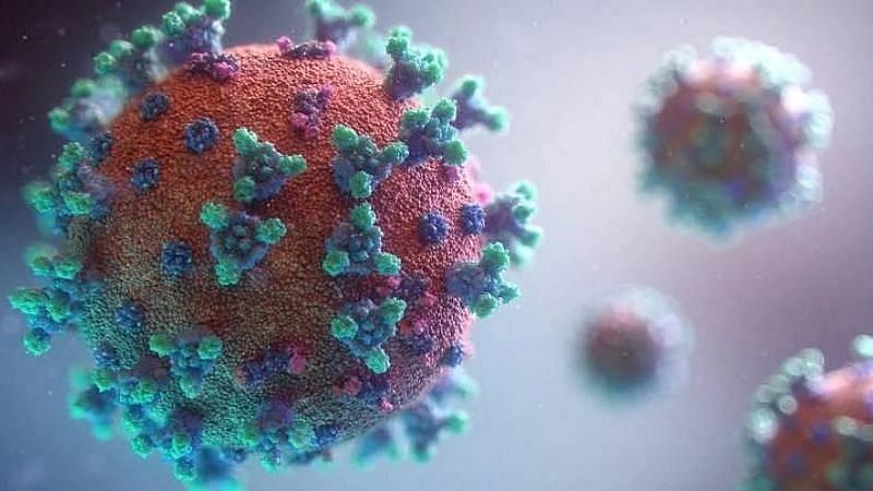 Norovirus Cases Surge in Kerala: What Is It? Should We Be Concerned?