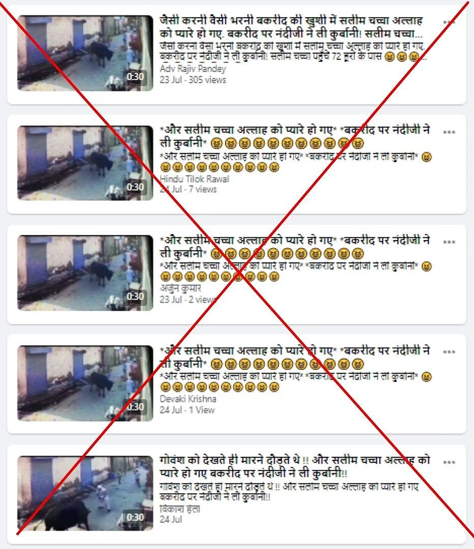 Video of Man Gored By Bull Shared With a False Communal Spin