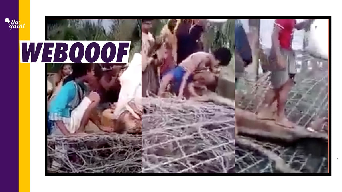 Video From Myanmar Shared as 'Bangladeshis Entering West Bengal'