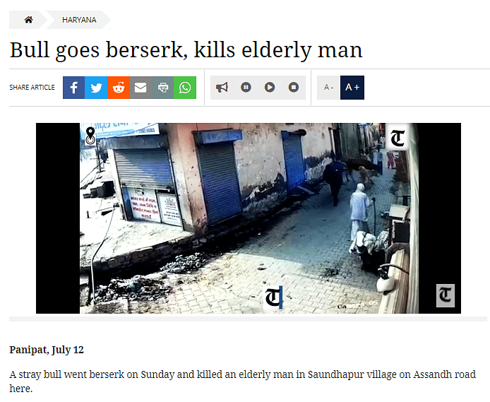The 63-year-old man who was attacked by a bull was identified as Deep Chand, who belonged to the Hindu community.