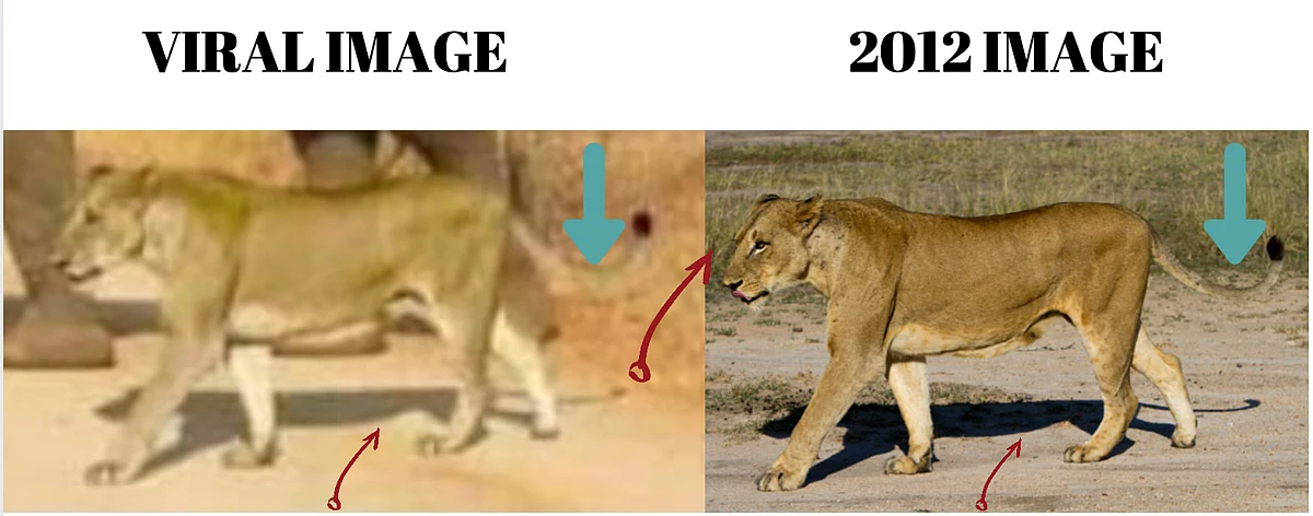 <div class="paragraphs"><p>Left: Viral image. Right: Image from 2012.</p></div>