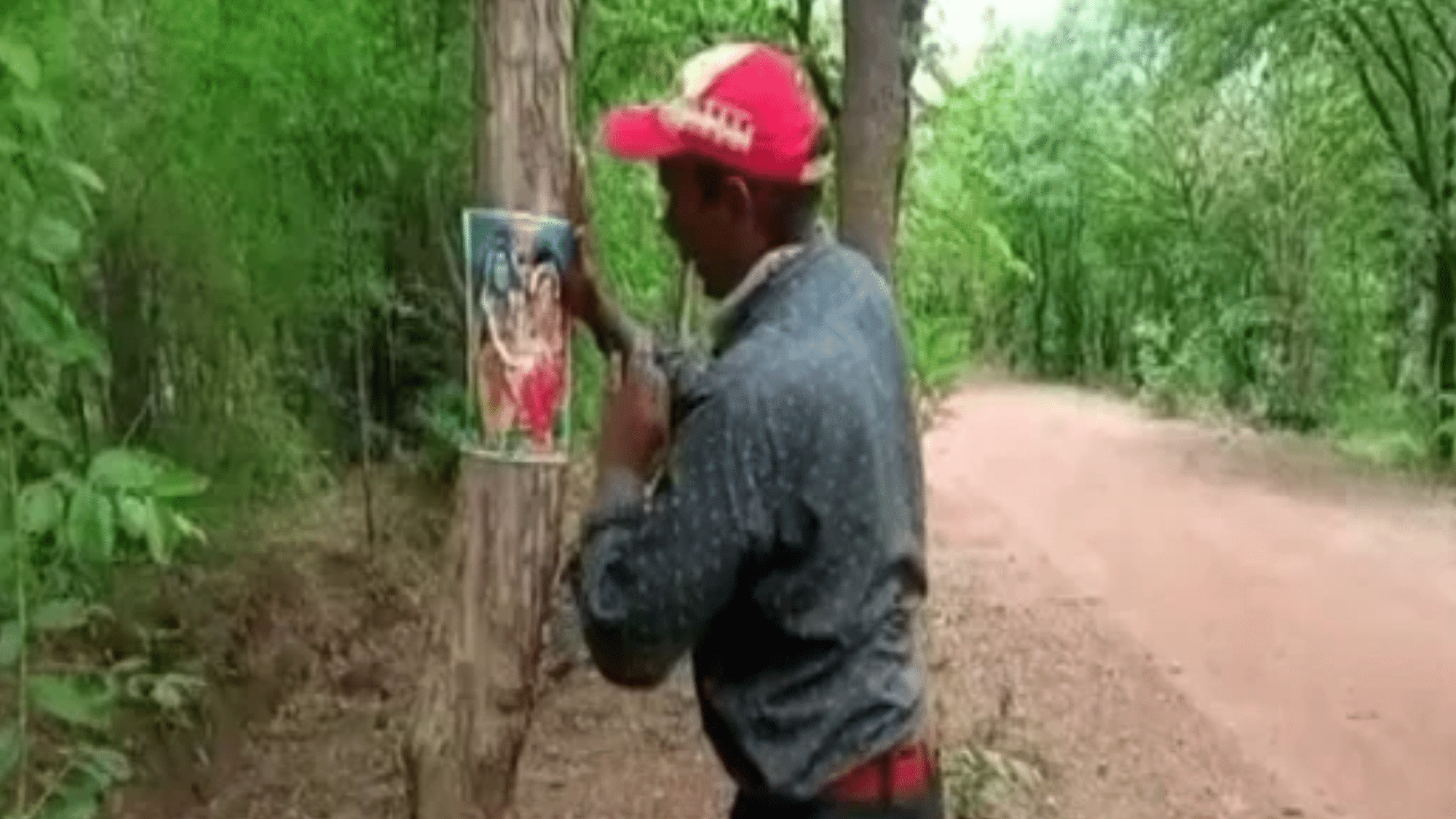 <div class="paragraphs"><p>Chhattisgarh activist Virendra Singh pasting pictures of Lord Shiva on trees.</p></div>