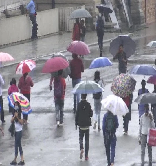 <div class="paragraphs"><p>Tourists continue to go to Shimla despite rain.</p></div>