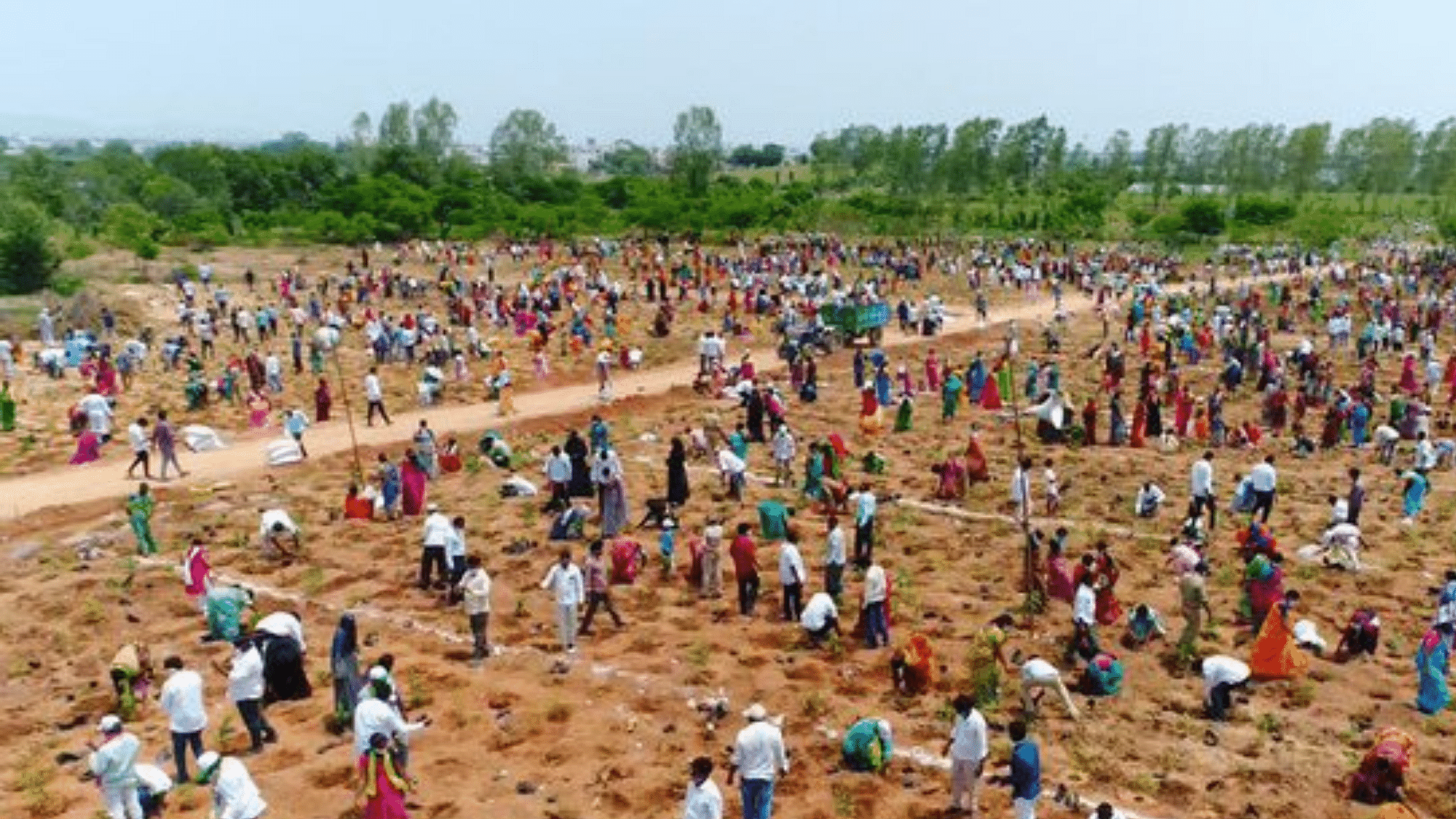<div class="paragraphs"><p>1 million saplings planted in Telangana in new world record.</p></div>