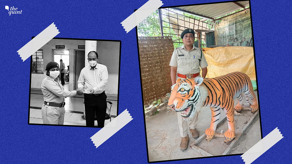 International Tiger Day: Inside the World of a Real-Life 'Sherni'