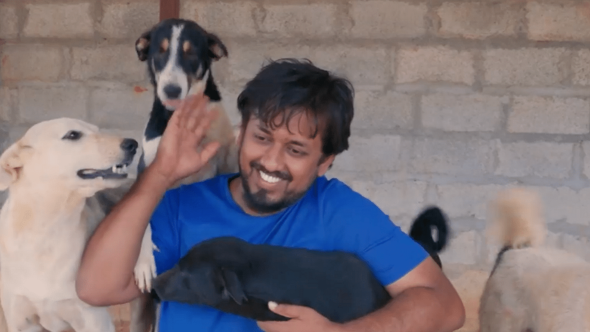 Meet Sajesh S, The Man Who Left His Full-Time Job to Care for Stray Dogs