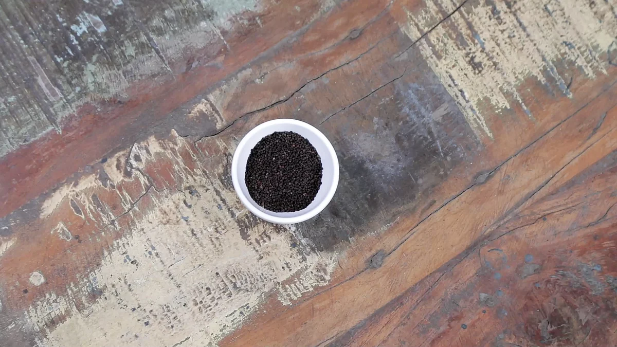 <div class="paragraphs"><p>Jakhiya Seeds</p></div>