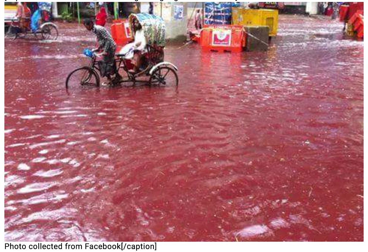 2016 Photo From Bangladesh of Bakra Eid Shared as From India
