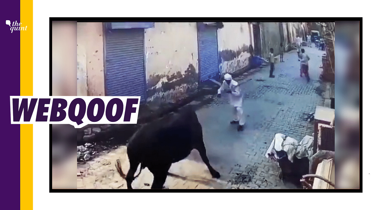 Video of Man Gored By Bull Shared With a False Communal Spin