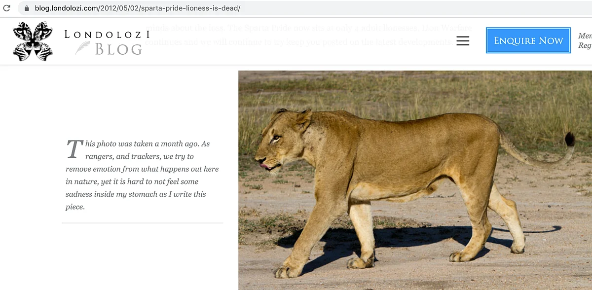 <div class="paragraphs"><p>The original image could be traced back to 2012.</p></div>