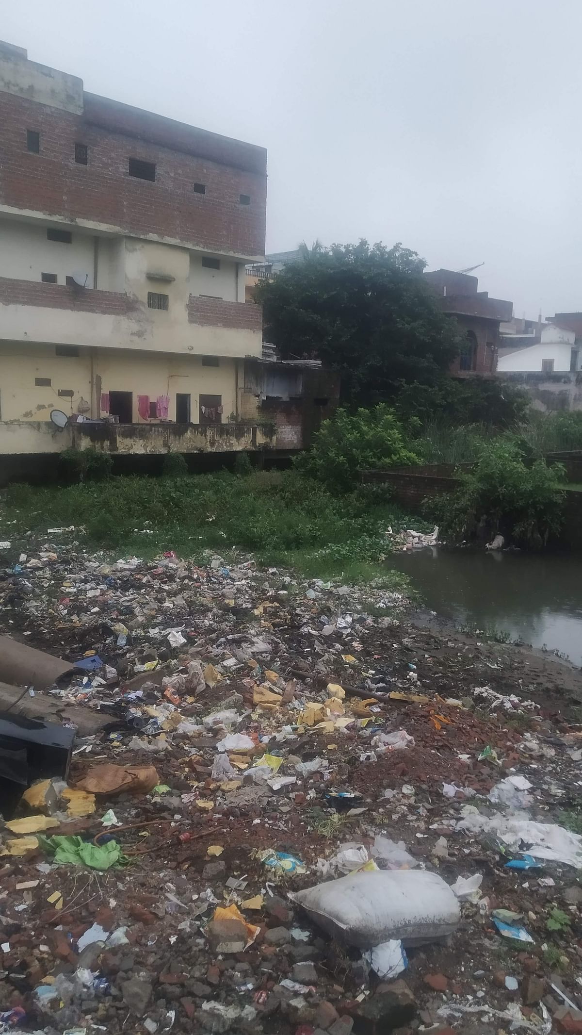 <div class="paragraphs"><p>Garbage dumped in Assi river flowing through the backyards</p></div>