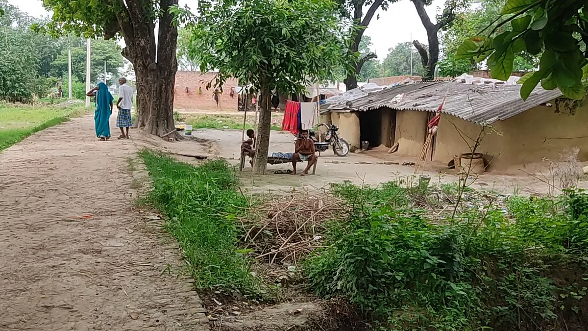 <div class="paragraphs"><p>The villagers either work as daily wage labourers, or take up jobs such as making plates out of leaves and selling wood to earn their livelihood. </p></div>