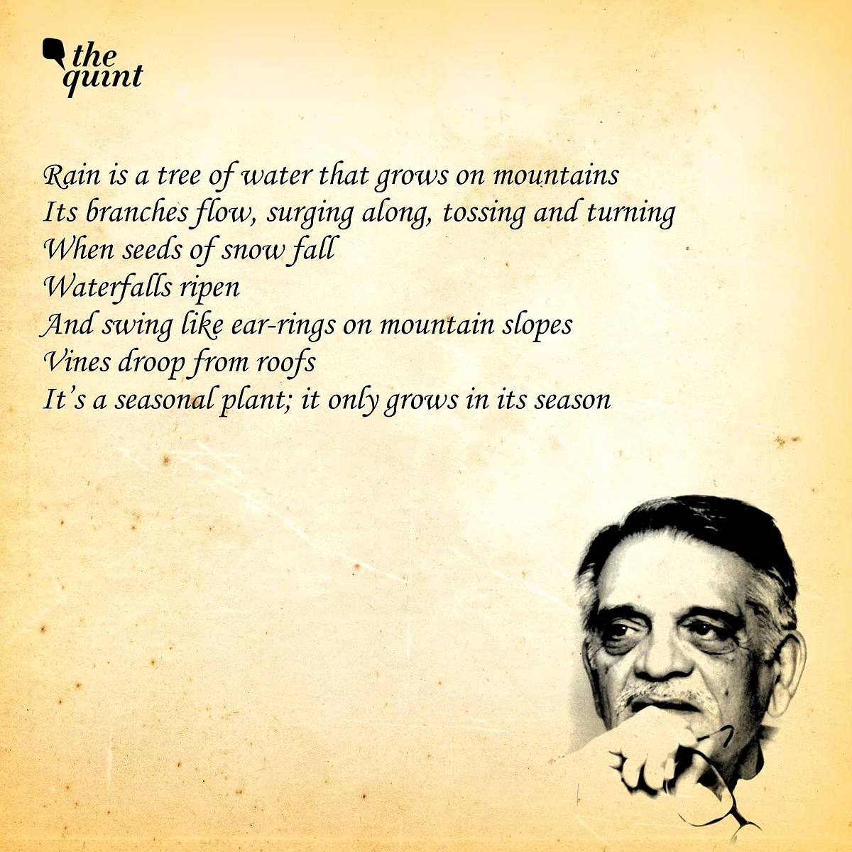 <div class="paragraphs"><p>Gulzar's poem on monsoon as a tree of rain. </p></div>